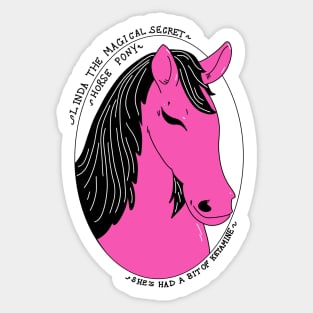 It’s Linda the magical secret horse pony Sticker